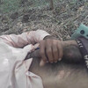 Pregled videozapisa