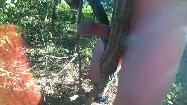 wanking in the woods again