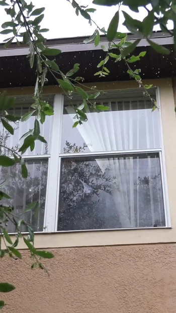 Pozovite prijatelja za analni seks