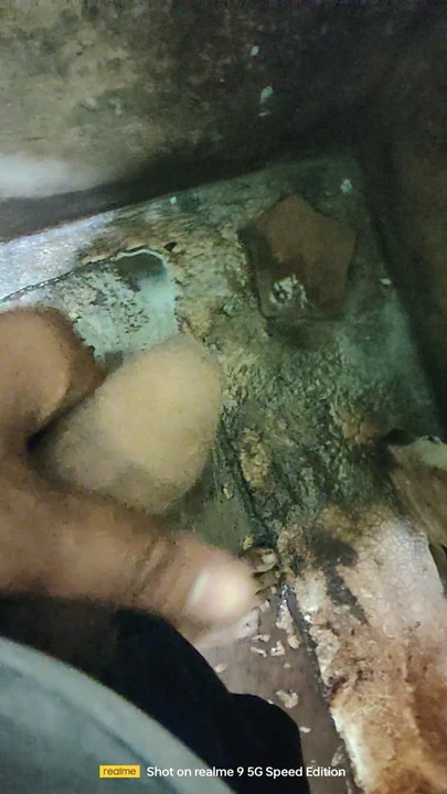 Big cock and long lasting timing