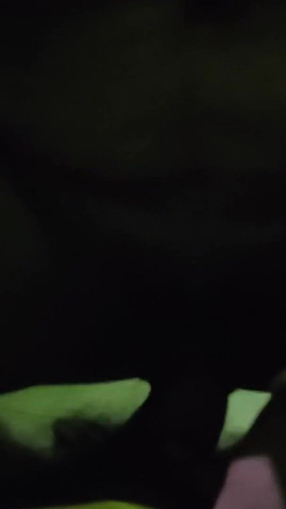Must-see moment from "Husband Wife Indian Desi Sex Video Bhabhi"