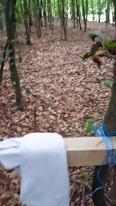 Pressure released in the forest