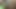 African mask sexy girl fuck huge cucumber