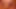 Bottom Beef 4