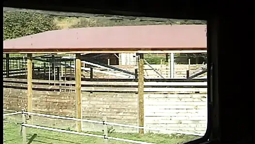 Zwei Schlampen nehmen es hart in den Arsch