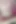 Desi Indian Hot Bengali Bhabi Secretly Having Sex with Her Husband's Friend