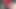 種付け後の濡れたひも