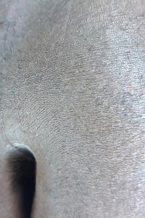 POV 黒人太り弱虫があなたに座って射精します