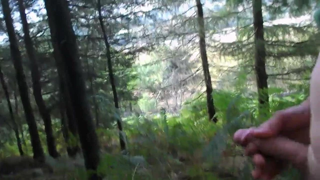 In the woods.