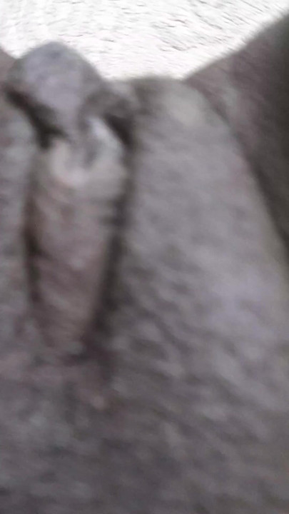 German natural dirty fat pussy teasing closely on camera | Clip 2
