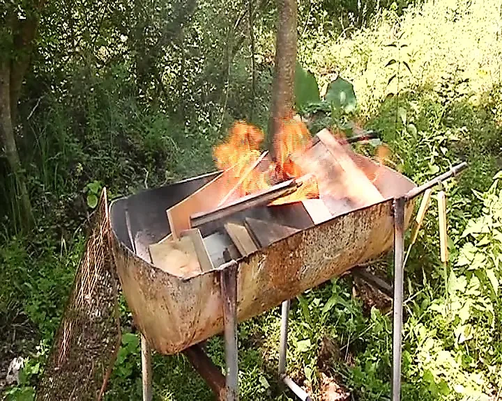 Sexy French babe enjoys hot anal threesome in the woods