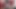 Solo masturbation (13)