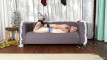Pregled videozapisa