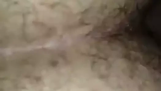 Osos