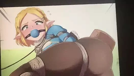 Cum haraç zelda (vahşi nefes) sop