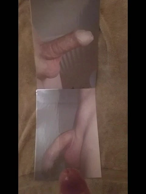 tribute to shavedlad