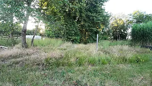 Taşı ve ödüllendir 5 - güçlü iri güzel evli kadın soyunuyor ve ince kocasını taşıyor, kaldırılmış sakso, bakış açısı sakso ve domaltmalı seks