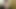 Exotic Asian ladyboy is stripping and teasing the camera