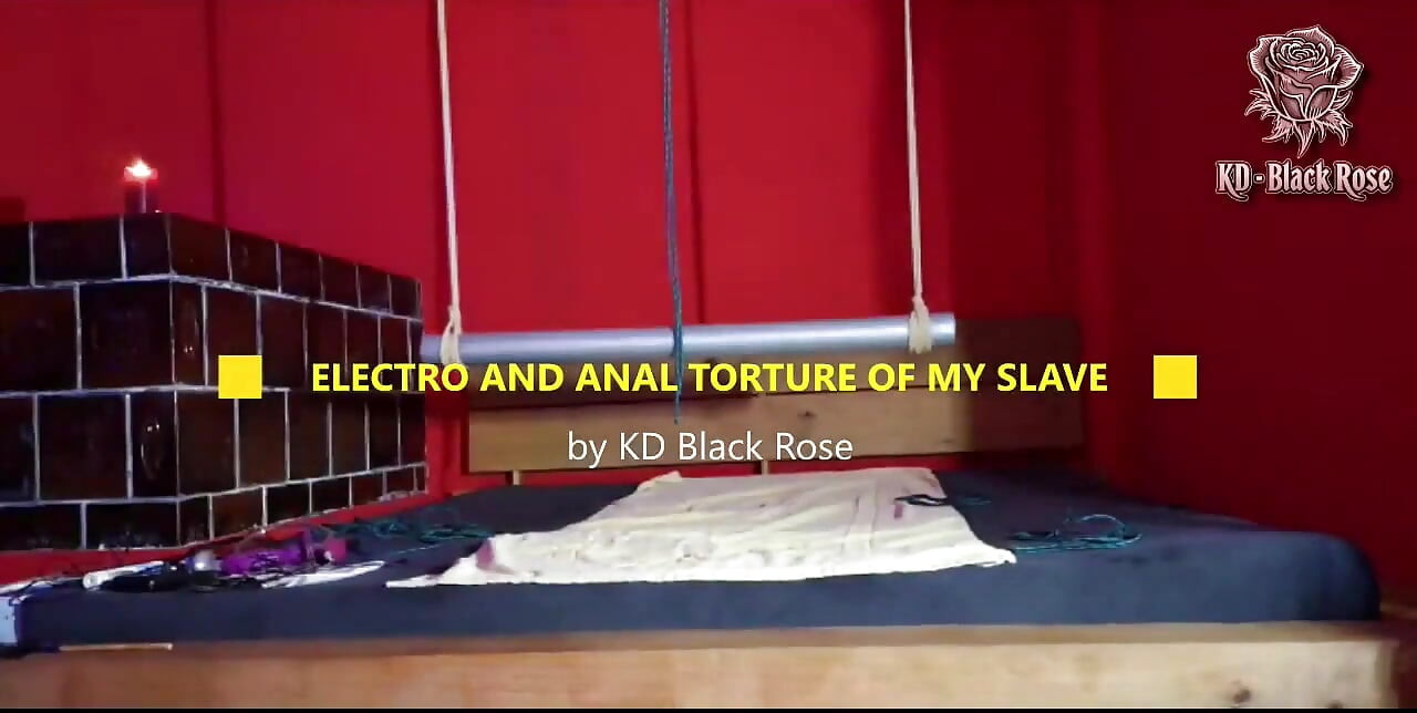 Electro and Anal on My Slave