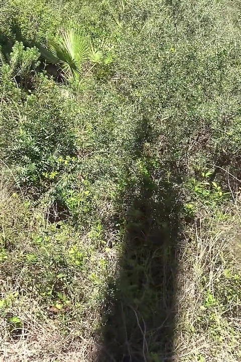 Inside the Biggest Brothel Ever Existed