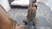 Pregled videozapisa