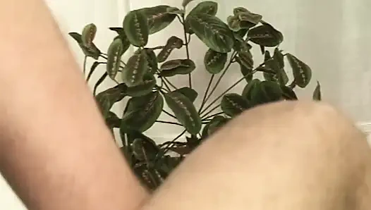 Horny MILF's Job Interview Ends in Sloppy Anal Drilling