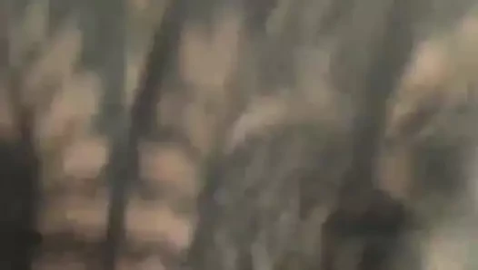 Luvlis utsökta kontroll över den rena själen