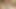 Bhai ne chhoda Hindi indian sex 18 year old
