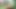 Wild Sex in the Forest Ended with a Strong Cumshot in the Green-eyed Girl's Mouth