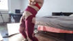 Pregled videozapisa