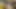 Düzenlenmemiş İtalyan amatör porno internette hiç görülmedi #10 -