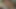 Sevimli bebek Chastity Lynn bakış açısıyla yarak emiyor