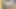 Jammu Call Girl Prity Teases you