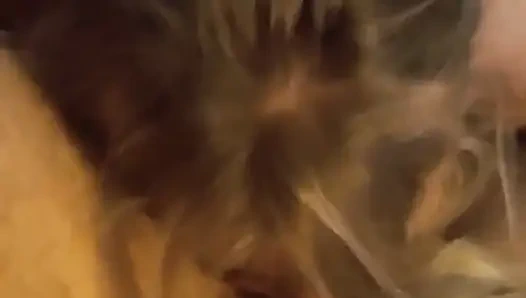 Сексуальная блондинка обожает сосать яйца и глотать все в любительском видео