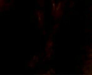 Sexe 12