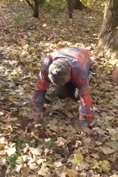 Kicking the old slave in the forest