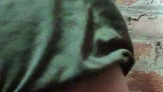 Sexy Video Girl