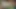 Olgun üvey kız kardeşle Hintli gerçek aile seksi sert sikişmek ve amının içine boşalmak için büyük desi yarak istiyor