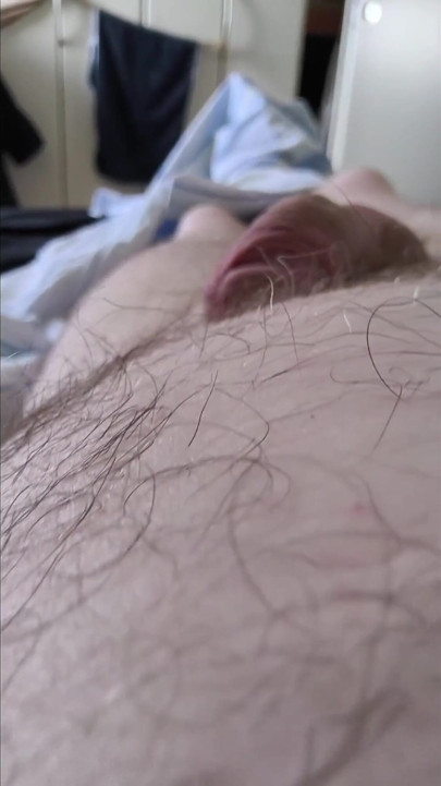 Camera Flight Over the Bear's Hairy Belly
