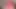 Genç orta yaşlı seksi kadın raven uzun tırnaklarla şişman bir yarağı okşuyor