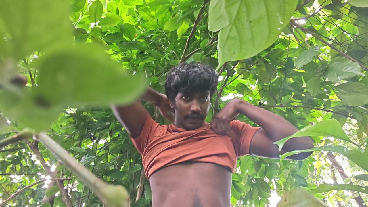 Outdoor fun in a jungle