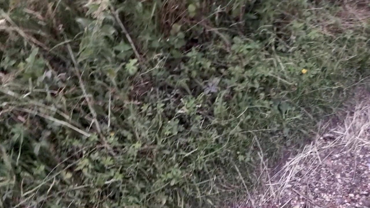 Masturbating in public