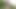 視点でのストリップショー