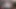 naked dick rates for my Onlyfans subscribers compilation