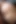 Nadir genç video Danielle Renea pornodan önce