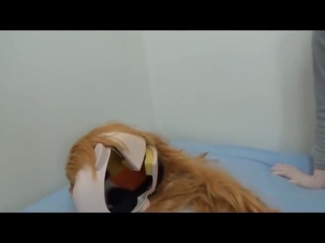 kigurumi unmask