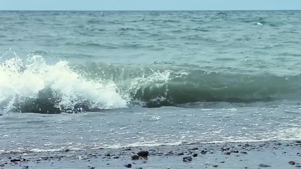 Spotted: the Ocean’s Personal Hype Man. Waves Crashing, Muscles Glistening, and Absolutely Zero Chill.