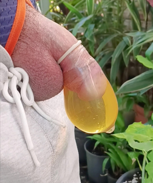 Straight guy with small  flaccid cock pissing into extra small condom