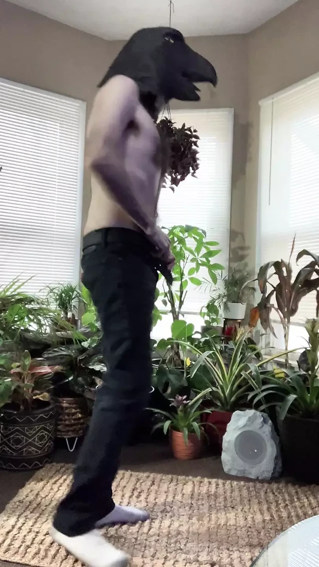 Skinny very hairy uncut white dude in a crow mask awkwardly strips down and moves around in the jungle