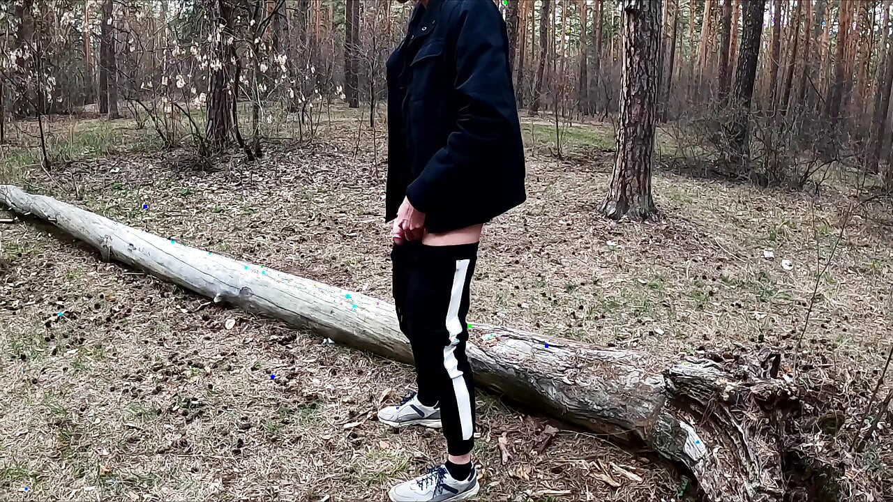The Guy Walks with A Vibrator in The Park and Masturbates